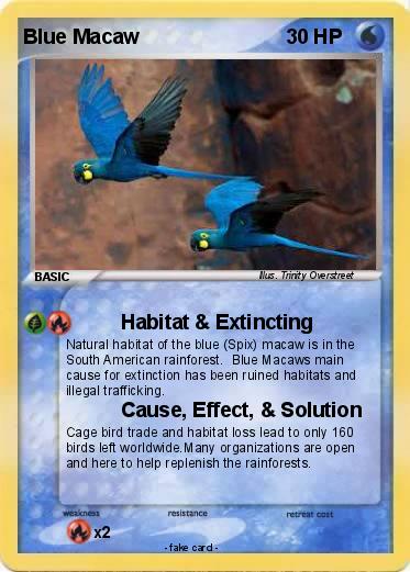 Pokemon Blue Macaw