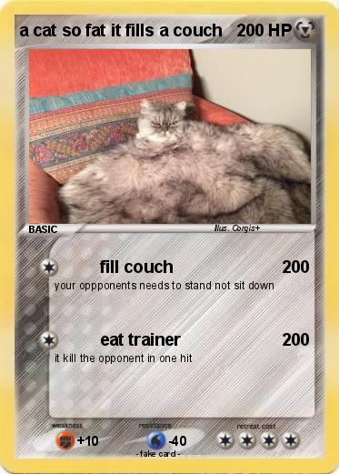 Pokemon a cat so fat it fills a couch