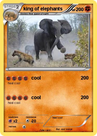 Pokemon king of elephants