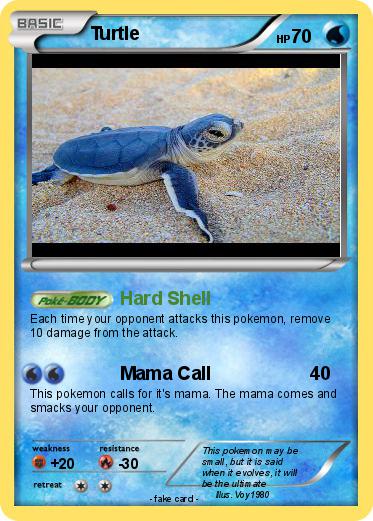 Pokemon Turtle