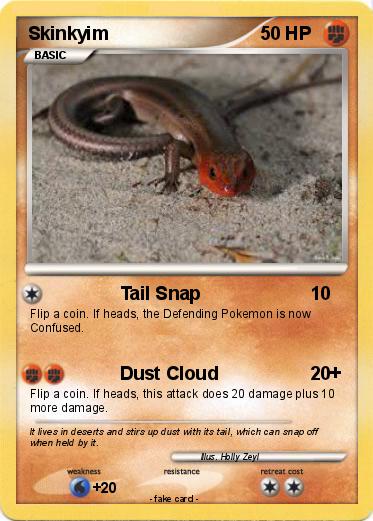 Pokemon Skinkyim