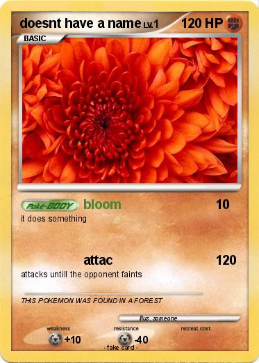 Pokemon doesnt have a name