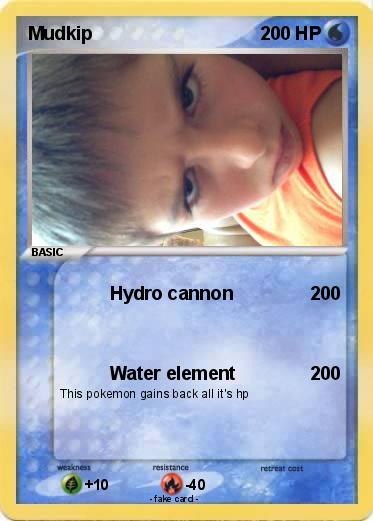 Pokemon Mudkip