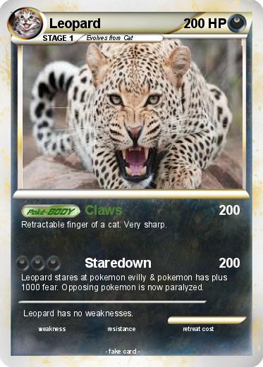 Pokemon Leopard