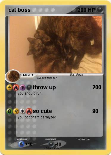 Pokemon cat boss