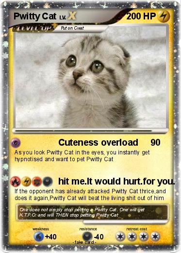 Pokemon Pwitty Cat