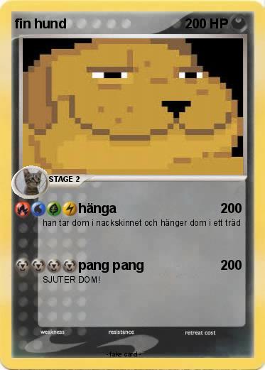 Pokemon fin hund