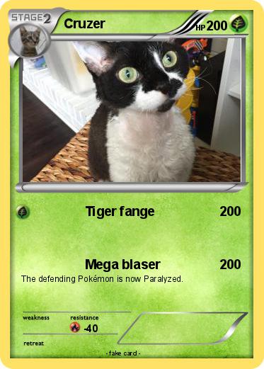 Pokemon Cruzer