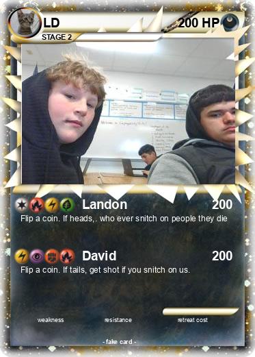 Pokemon LD