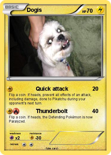 Pokemon Dogis