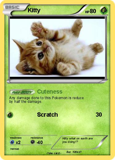 Pokemon Kitty