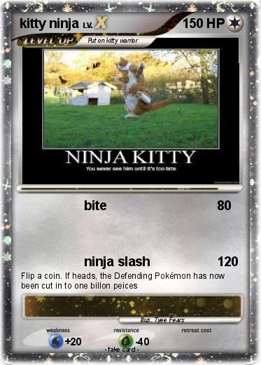 Pokemon kitty ninja