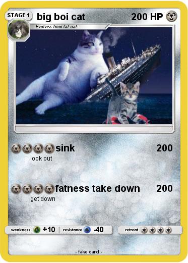 Pokemon big boi cat
