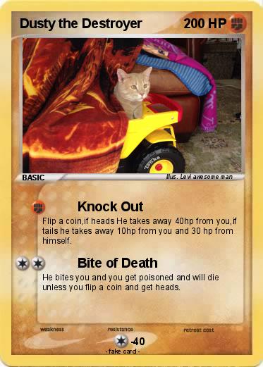 Pokemon Dusty the Destroyer