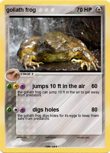Pokemon goliath frog