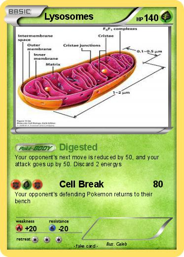 Pokemon Lysosomes