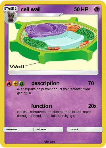 Pokemon cell wall