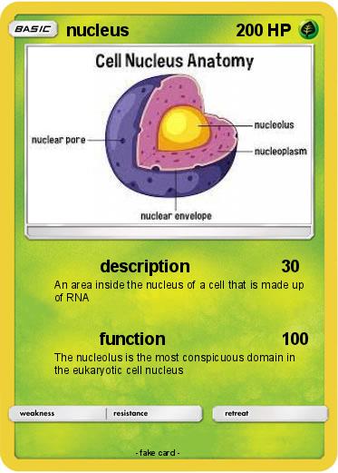 Pokemon nucleus