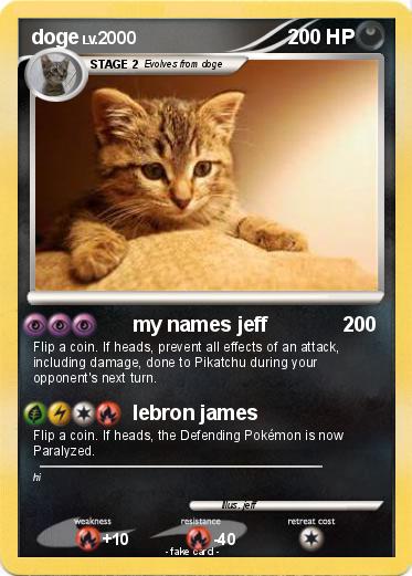 Pokemon doge