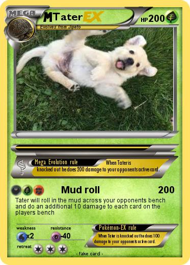 Pokemon Tater
