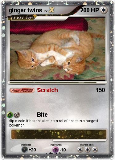 Pokemon ginger twins