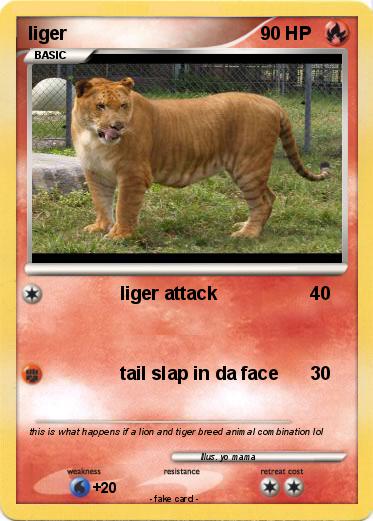 Pokemon liger