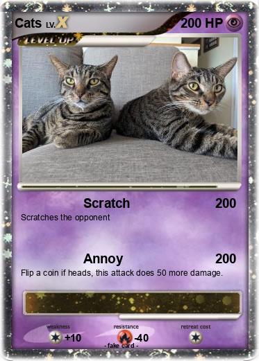 Pokemon Cats