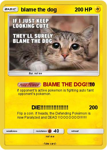 Pokemon blame the dog