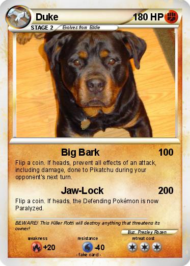 Pokemon Duke