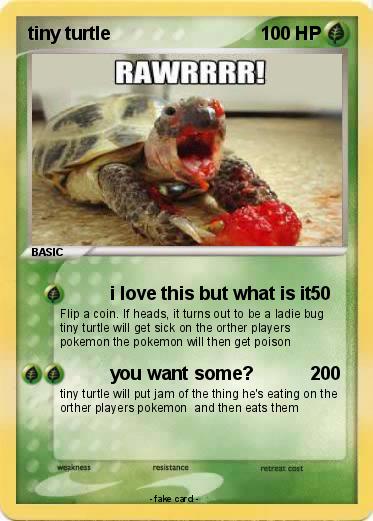 Pokemon tiny turtle