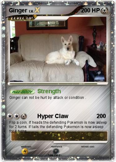 Pokemon Ginger