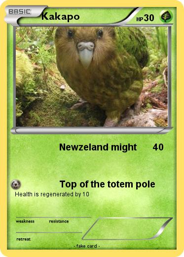 Pokemon Kakapo