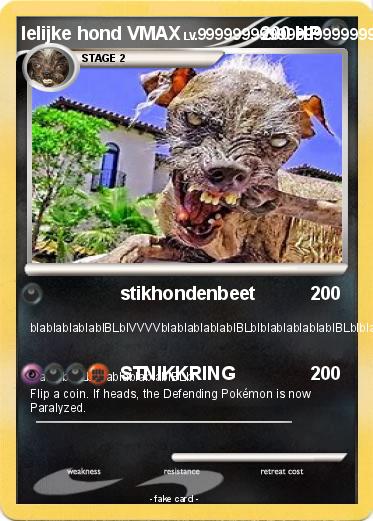 Pokemon lelijke hond VMAX