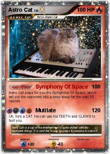 Pokemon Astro Cat