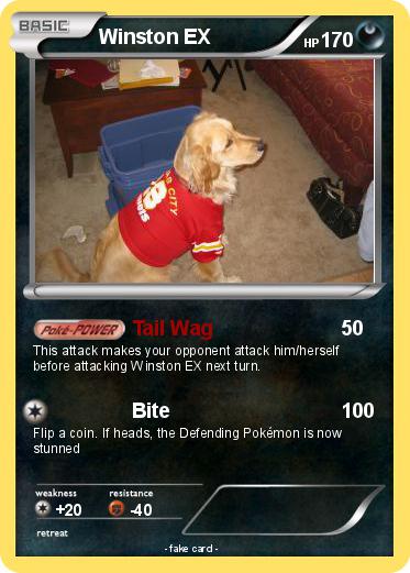 Pokemon Winston EX