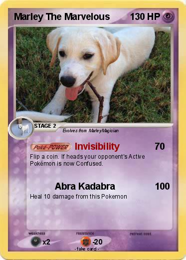 Pokemon Marley The Marvelous