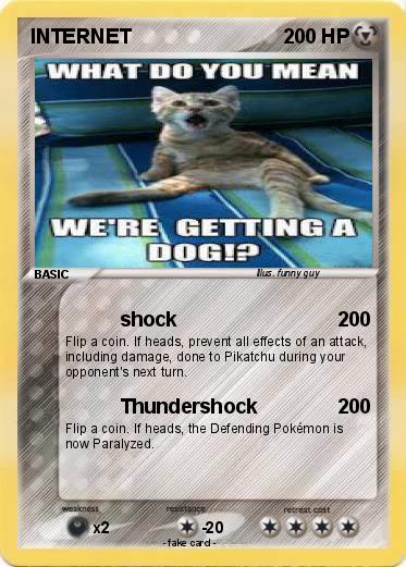 Pokemon INTERNET