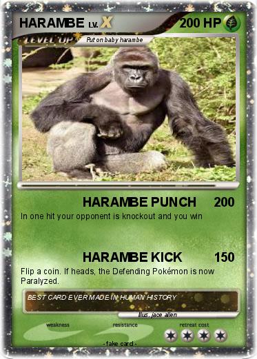 Pokemon HARAMBE