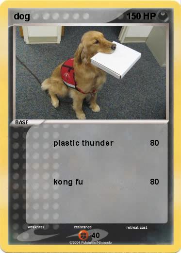 Pokemon dog
