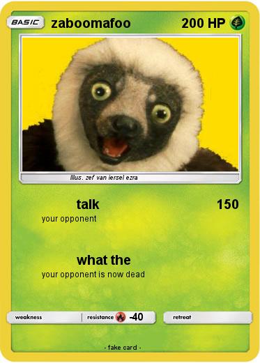 Pokemon zaboomafoo