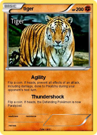 Pokemon tiger
