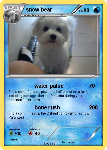 Pokemon snow bear