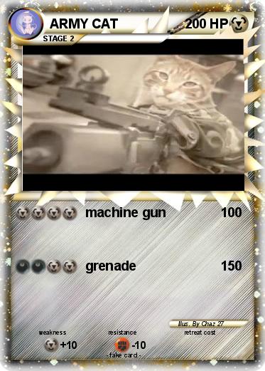 Pokemon ARMY CAT