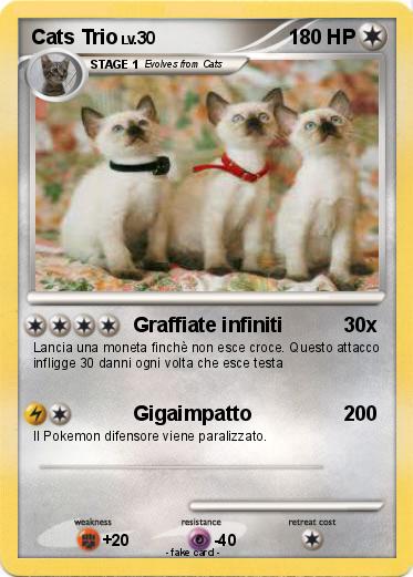 Pokemon Cats Trio