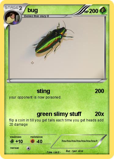 Pokemon bug