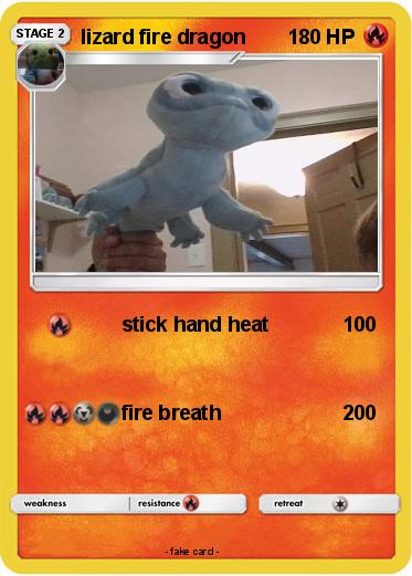 Pokemon lizard fire dragon