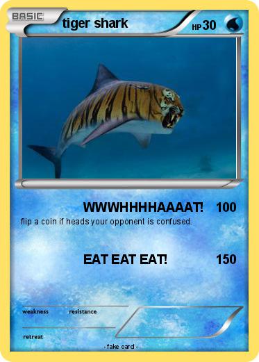 Pokemon tiger shark
