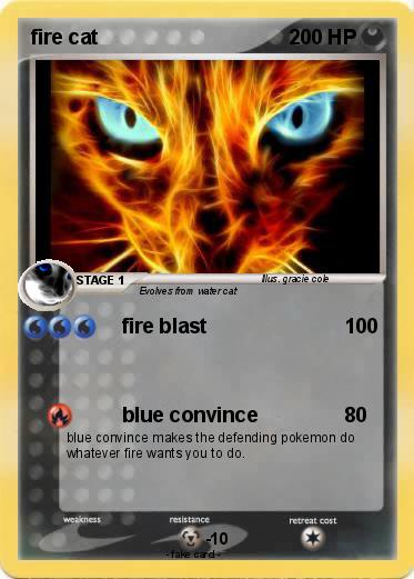 Pokemon fire cat