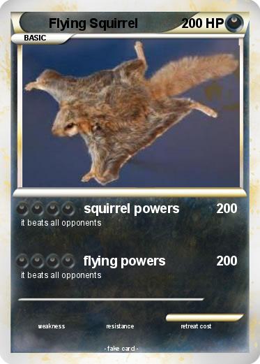 Pokemon Flying Squirrel