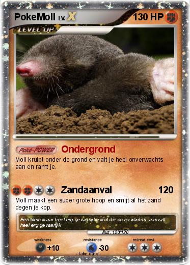 Pokemon PokeMoll